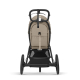 Športový kočík CYBEX Avi Spin - Almond Beige